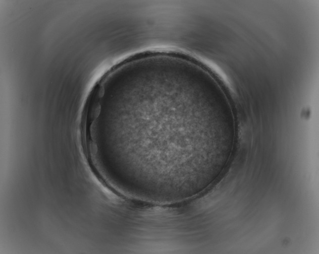 X0000091471327200708161351