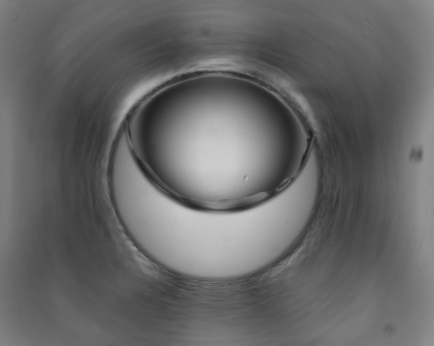 X0000091471328200708161351