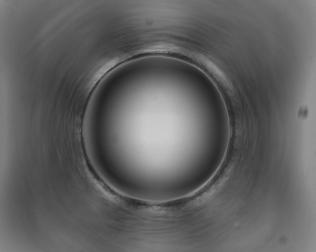 X0000091471329200708161351
