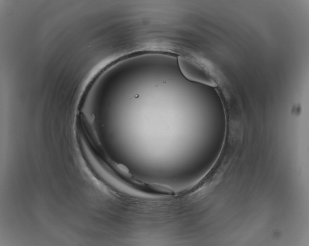 X0000091471331200708161351