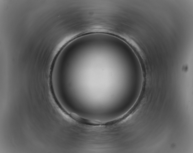 X0000091471333200708161351