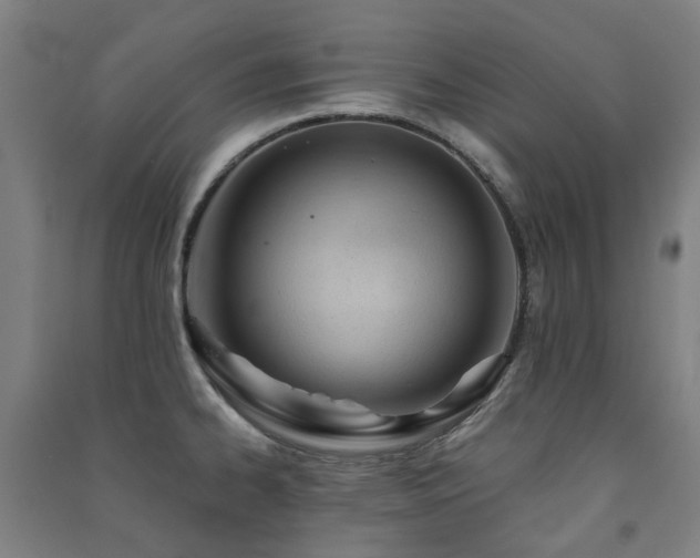X0000091471334200708161351
