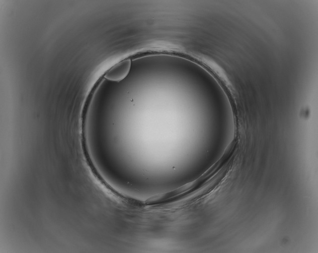 X0000091471335200708161351