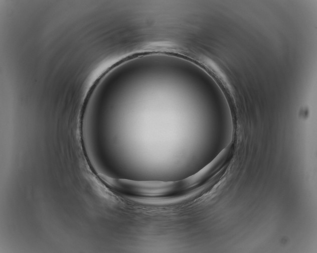 X0000091471336200708161351