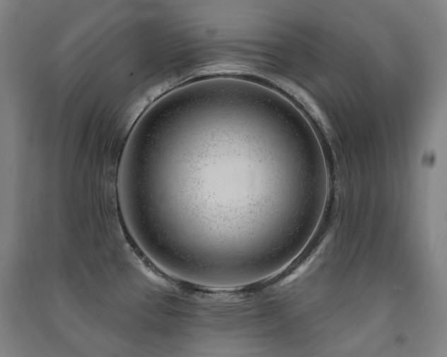 X0000091471337200708161351