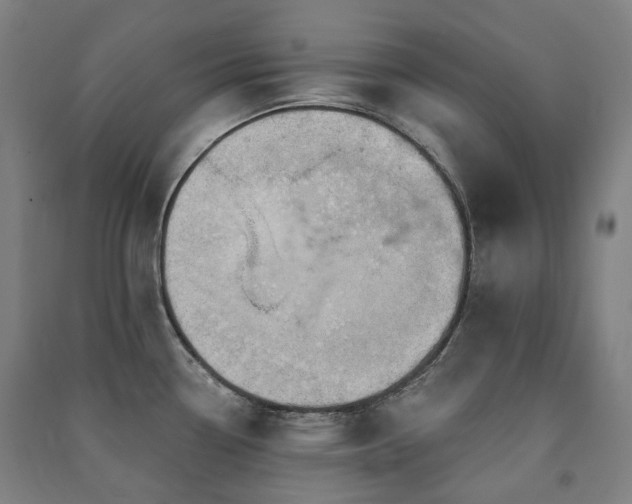 X0000091471338200708161351