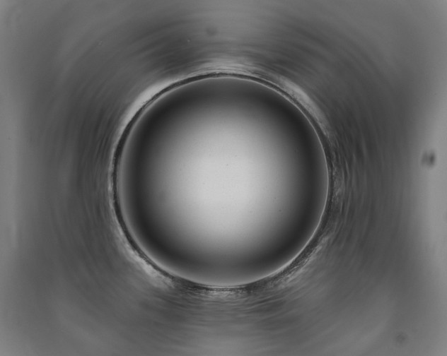 X0000091471339200708161351