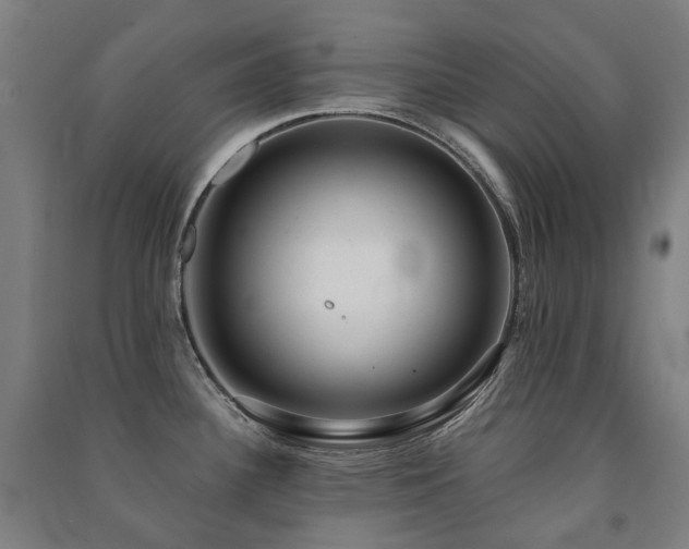 X0000091471340200708161351