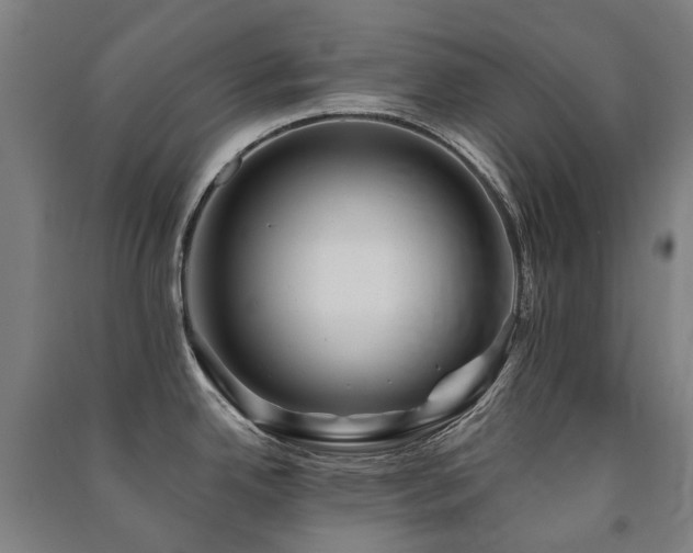 X0000091471342200708161351