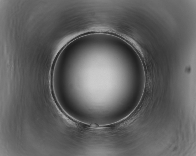 X0000091471343200708161351