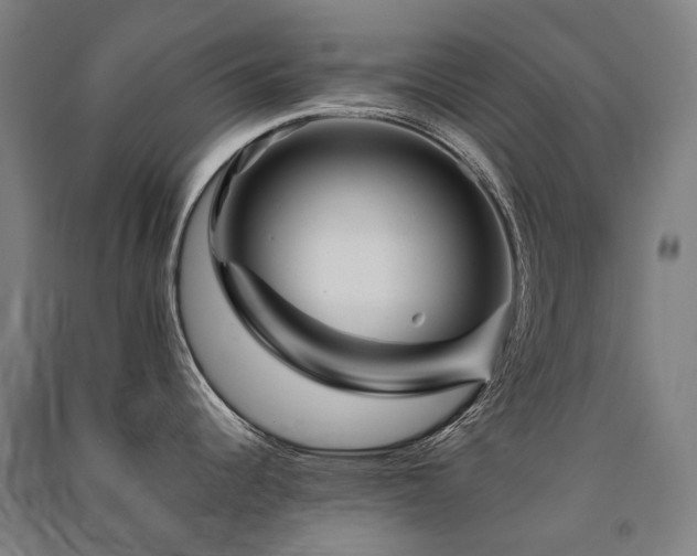X0000091471344200708161351