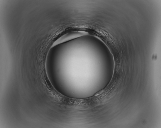 X0000091471345200708161350