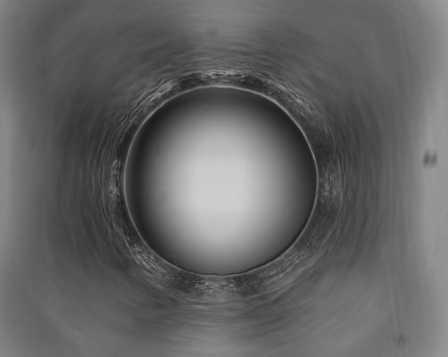 X0000091471346200708161350