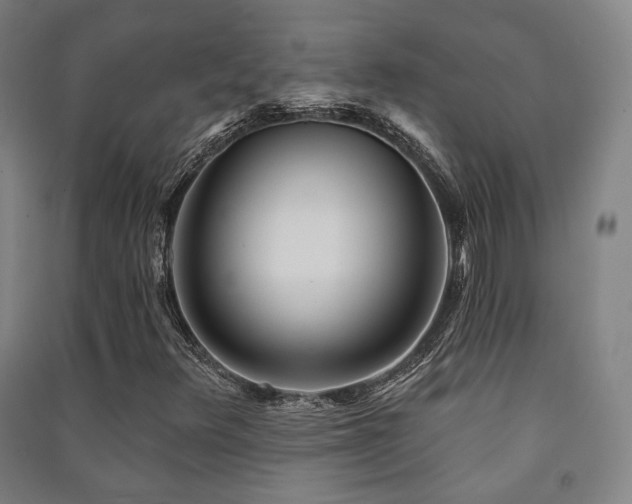 X0000091471348200708161350