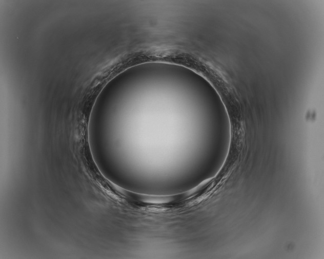 X0000091471349200708161350