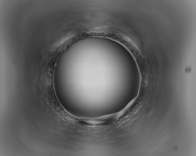 X0000091471350200708161350