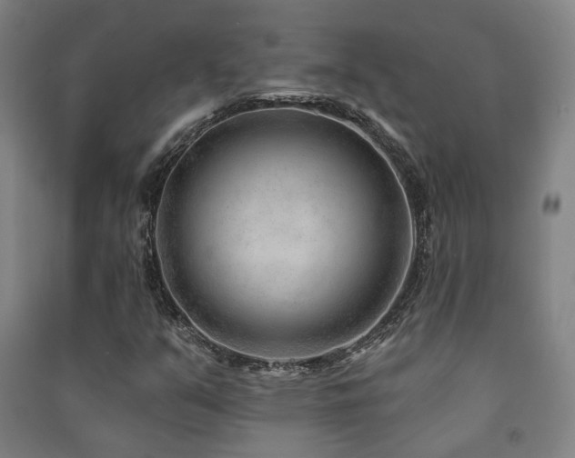 X0000091471351200708161350