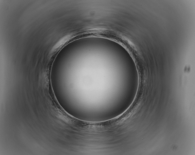 X0000091471354200708161350