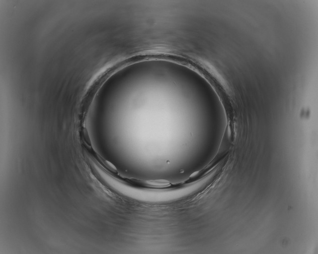 X0000091471356200708161350