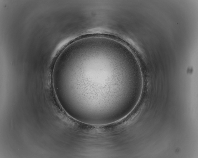 X0000091471358200708161350