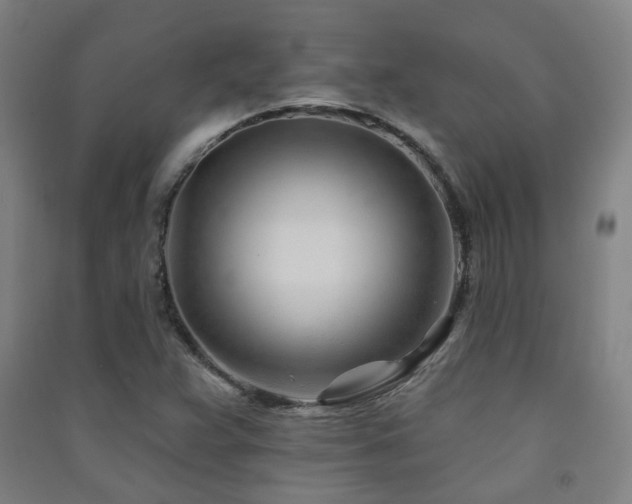 X0000091471359200708161350