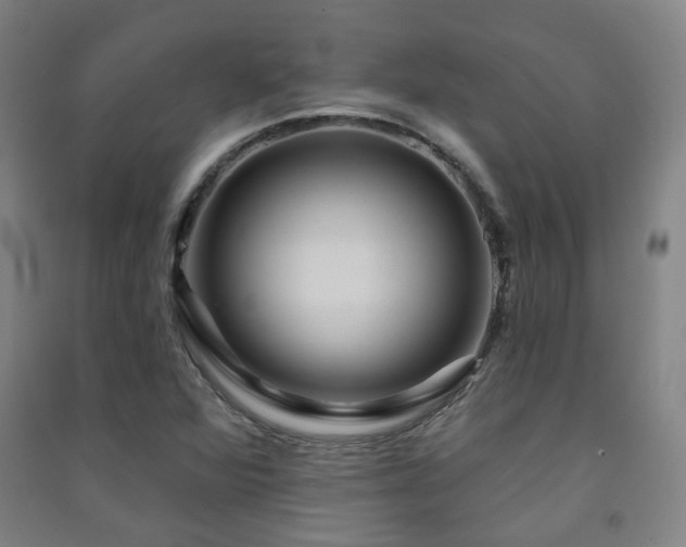 X0000091471360200708161350
