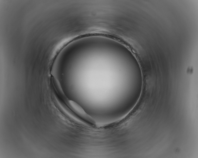 X0000091471363200708161350