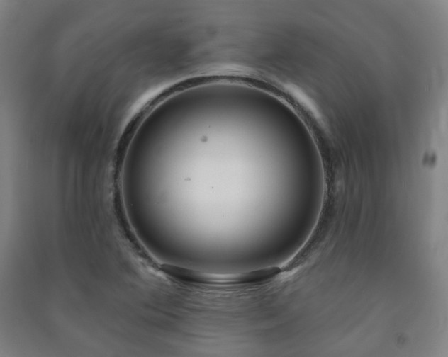X0000091471364200708161350