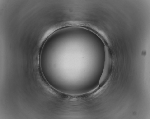 X0000091471365200708161350