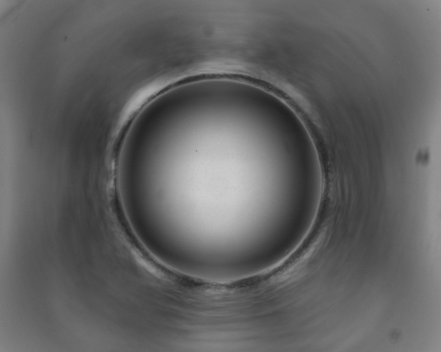 X0000091471366200708161350