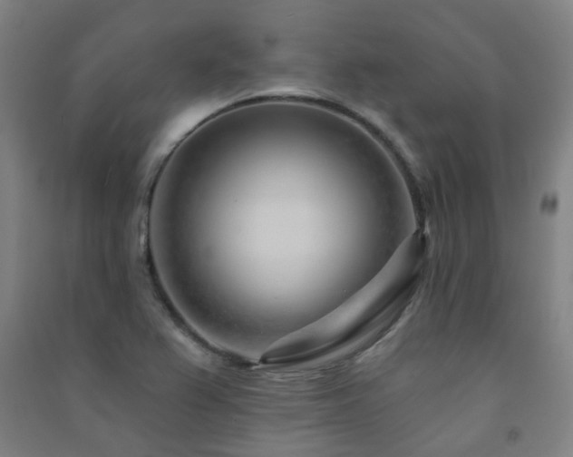 X0000091471367200708161350