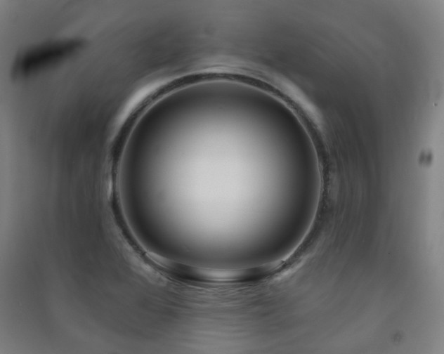 X0000091471368200708161350