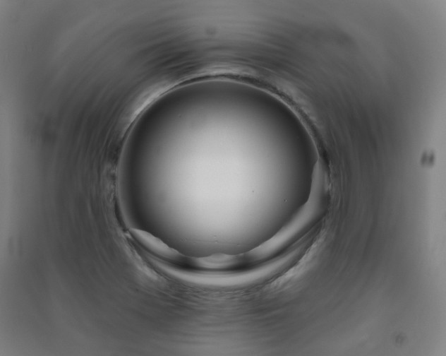 X0000091471369200708161350