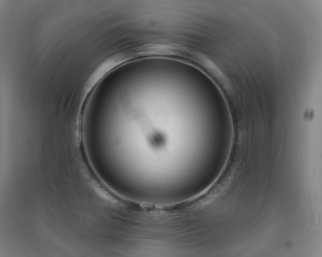 X0000091471370200708161350