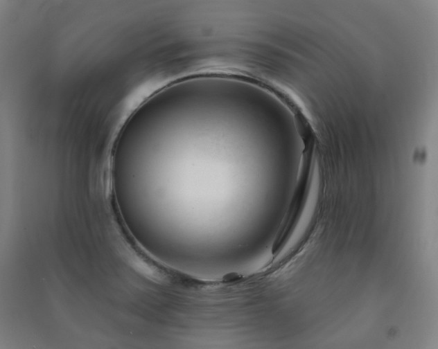 X0000091471371200708161350