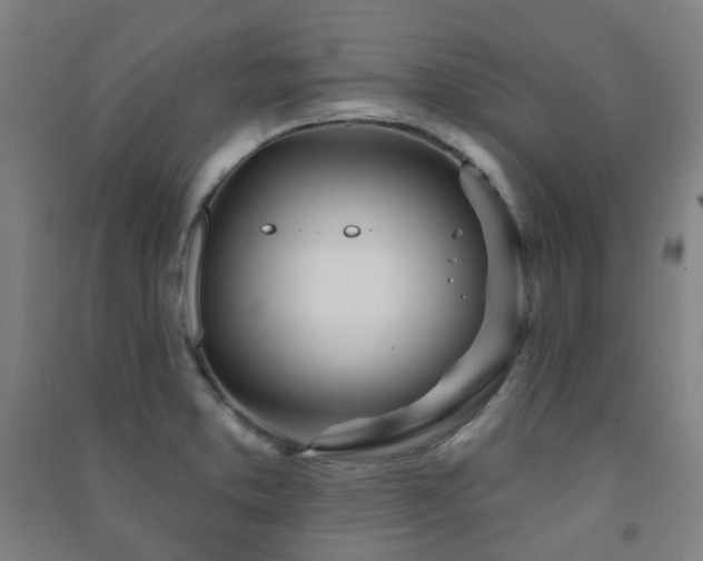 X0000091471373200708161350