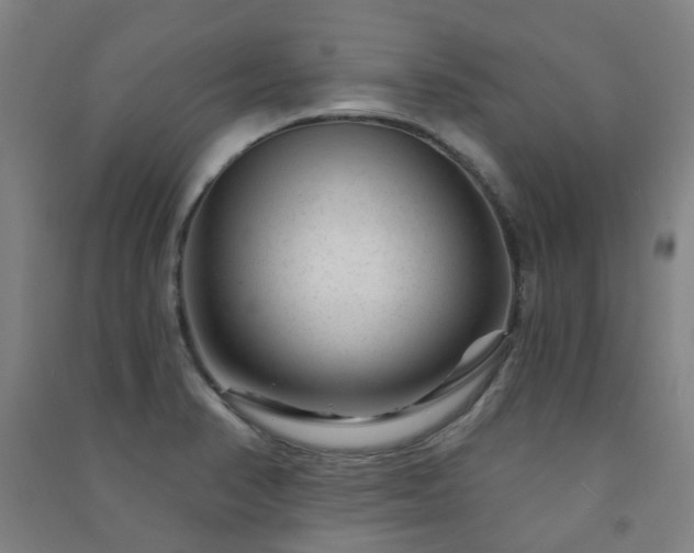 X0000091471374200708161350