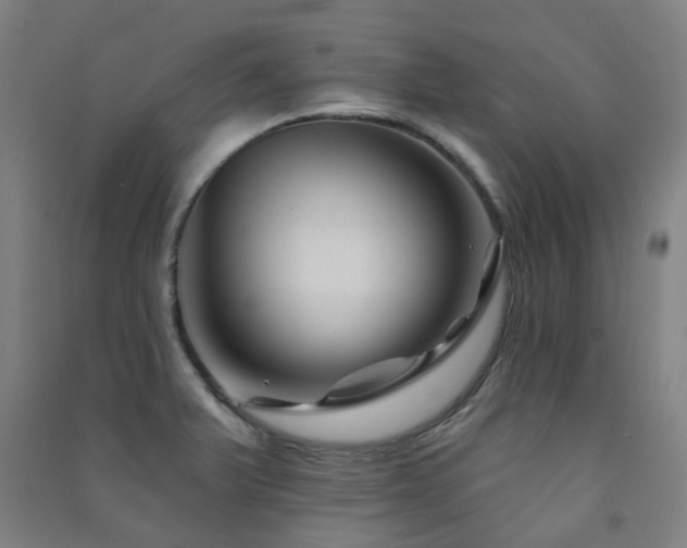 X0000091471375200708161350