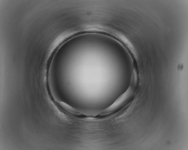 X0000091471376200708161350