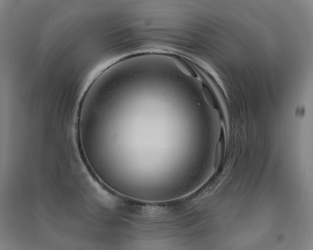 X0000091471379200708161350