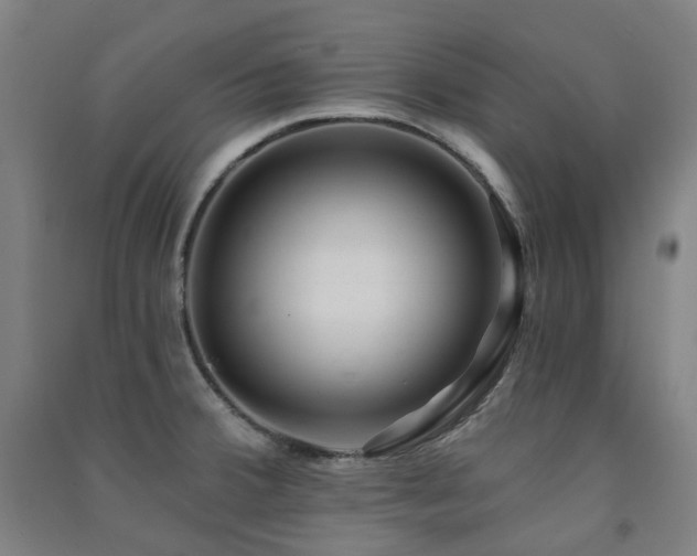 X0000091471380200708161350