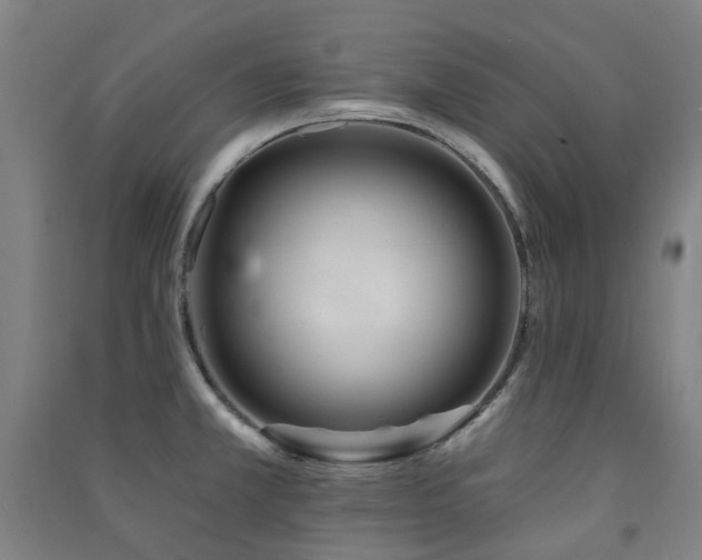 X0000091471381200708161350
