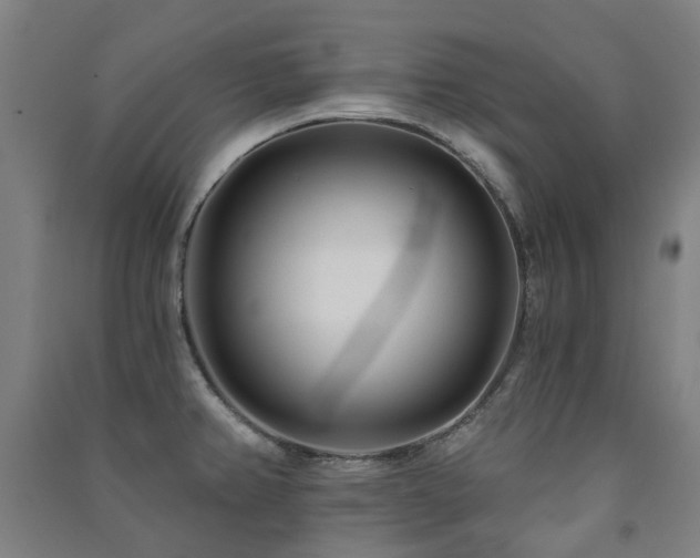 X0000091471382200708161350