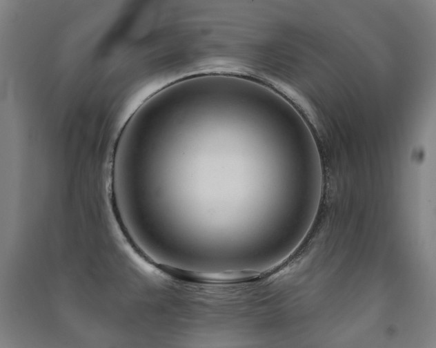 X0000091471383200708161350