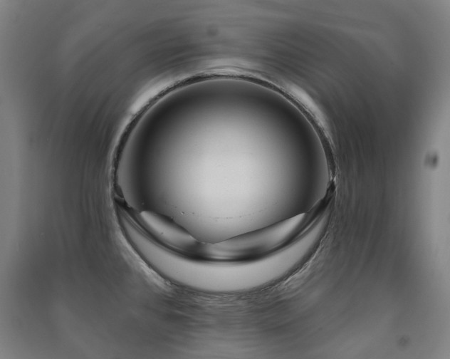 X0000091471384200708161350