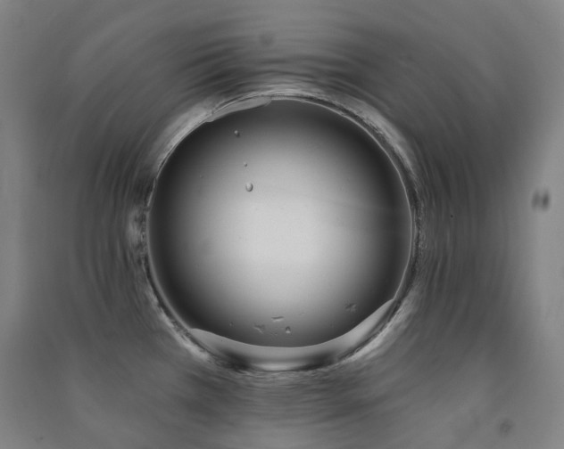 X0000091471385200708161350