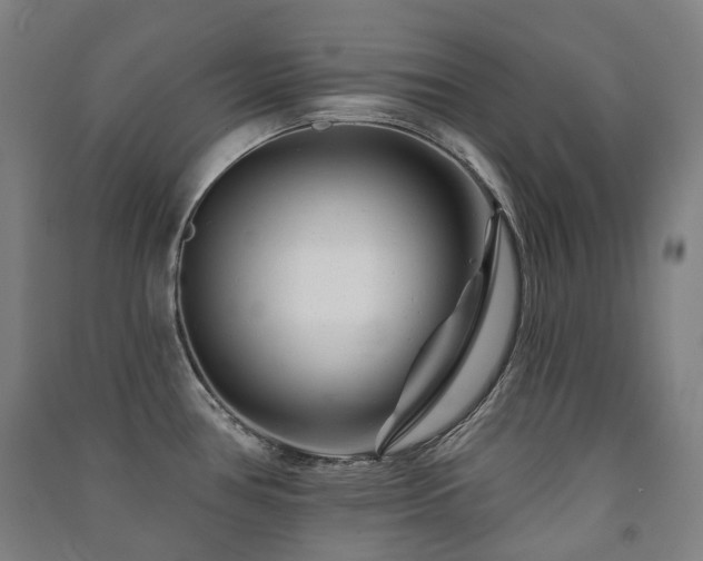 X0000091471386200708161350