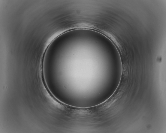 X0000091471387200708161350