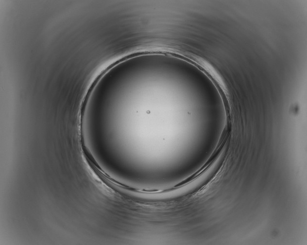X0000091471388200708161350