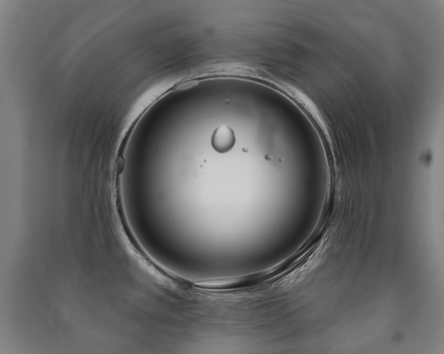 X0000091471389200708161350